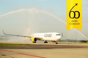 condor 60 ans